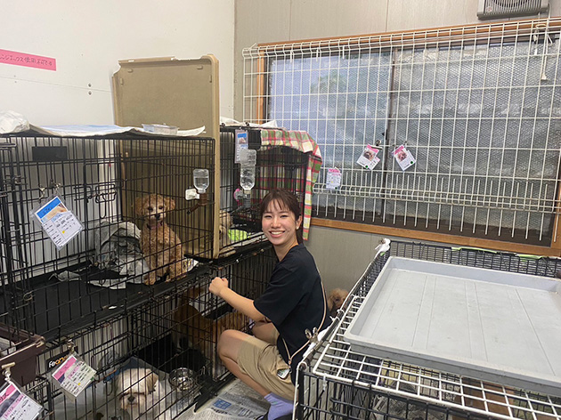 写真：保護犬のシェルターで働いている様子