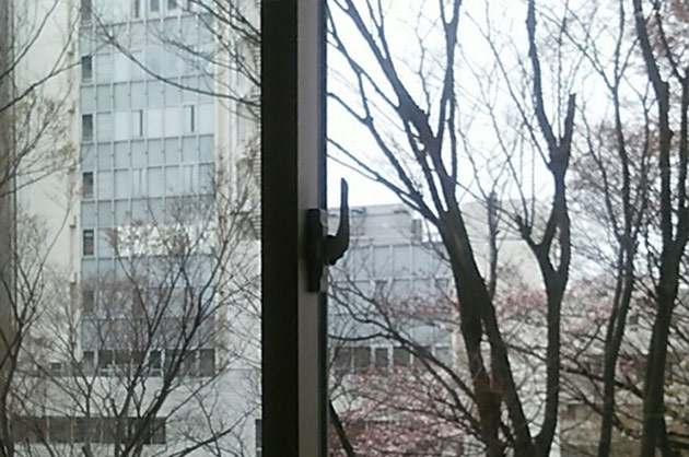 写真：病室から見える窓の外の景色
